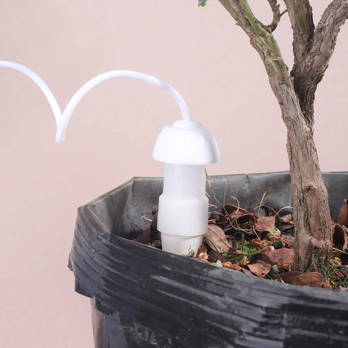 Ceramic Watering Spikes Set