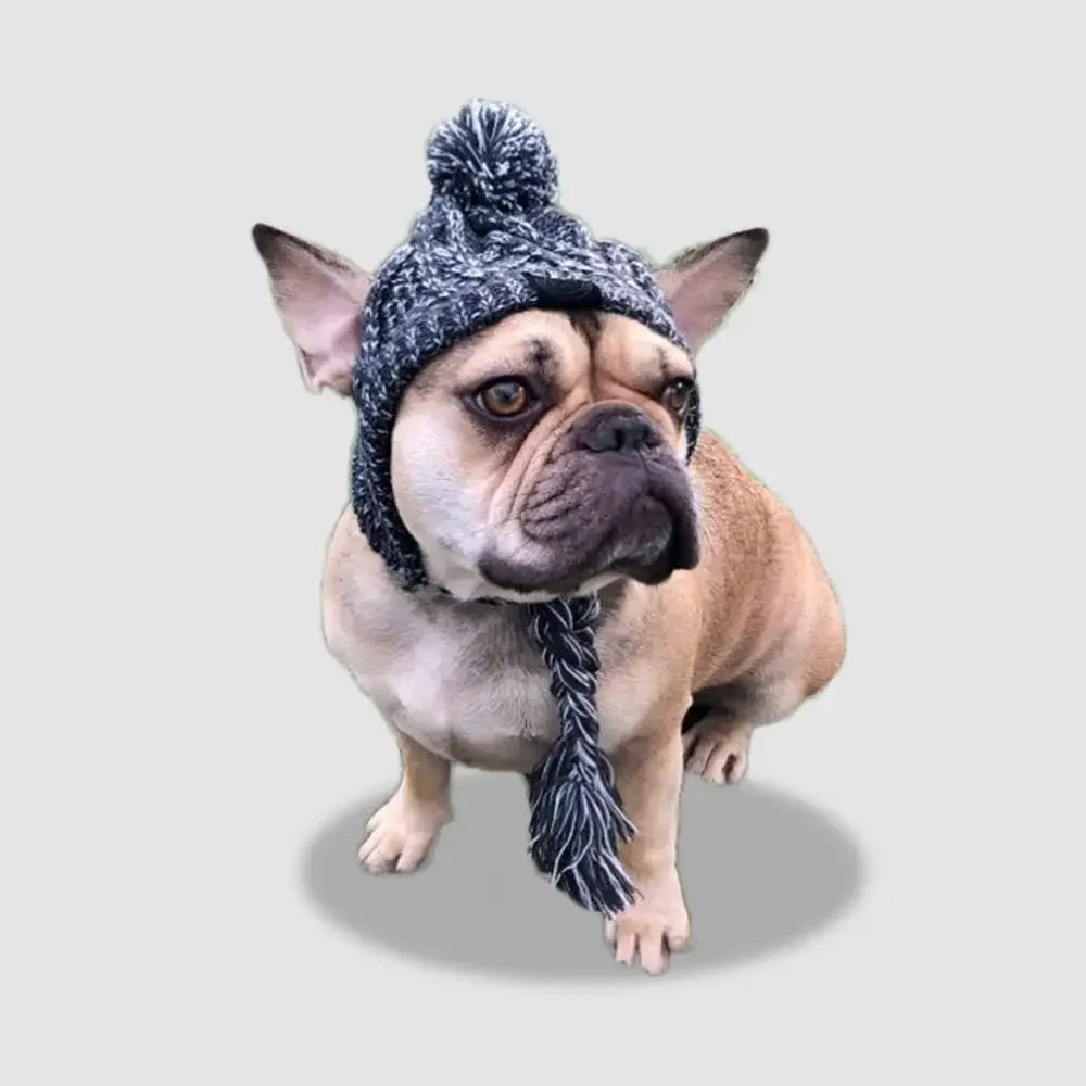 Winter Knitted Dog Hat – Warm Cotton Pet Headgear