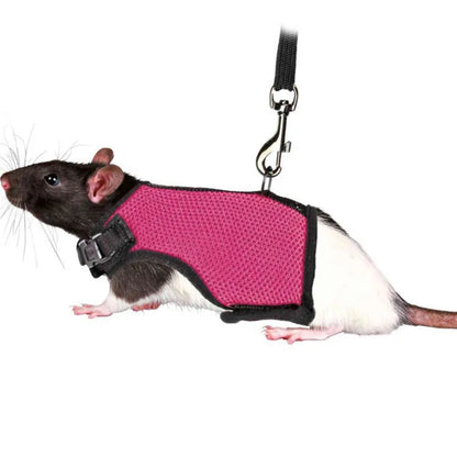 Breathable Small Pet Harness & Leash Set