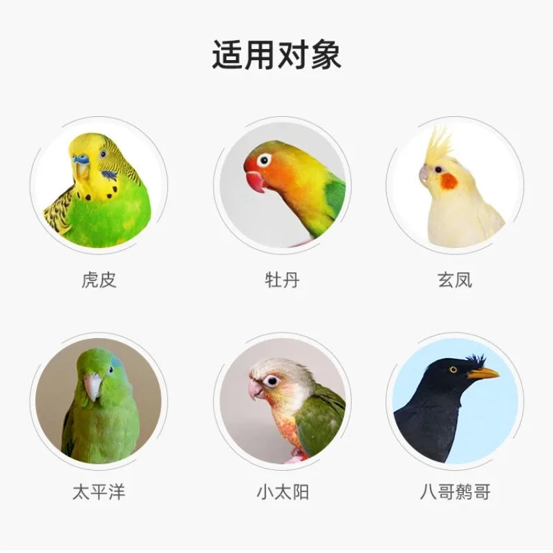 Interactive Bird Training Toy Set