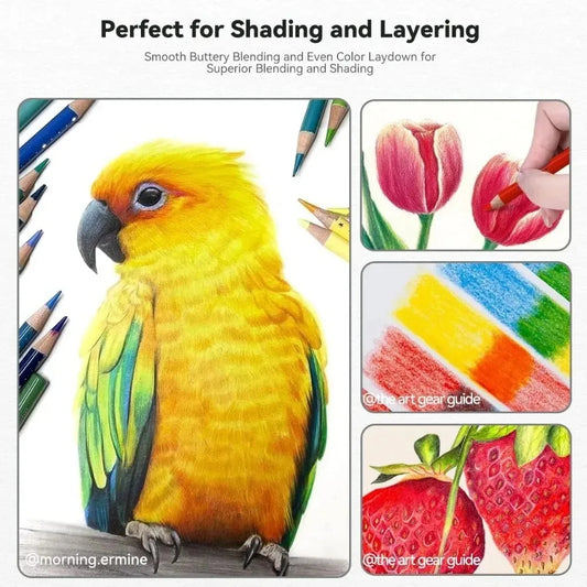 Professional Soft Core Colored Pencil Set