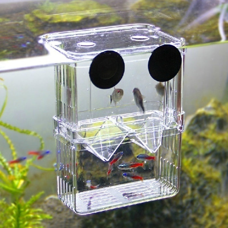 Aquarium Fish Breeding Isolation Box