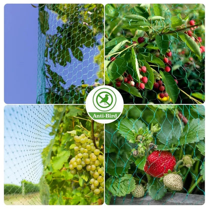 Garden Bird Protection Net