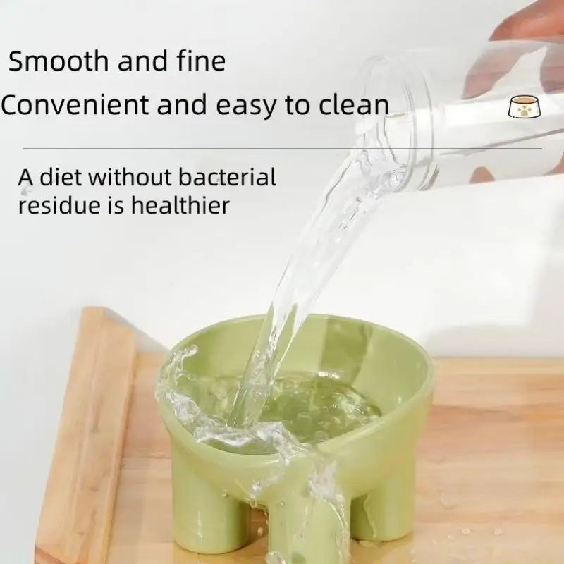 Elevated Pet Bowl with Non-Slip Stand