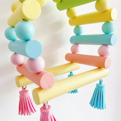 Wooden Bird Climbing Ladder & Hanging Play Toy
