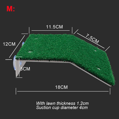 Turtle Basking Platform Ramp
