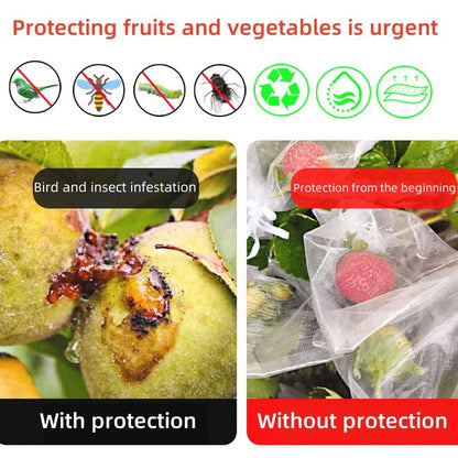 Fruit Protection Grow Bags