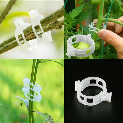 Reusable Plastic Plant Support Clips for Garden Trellis