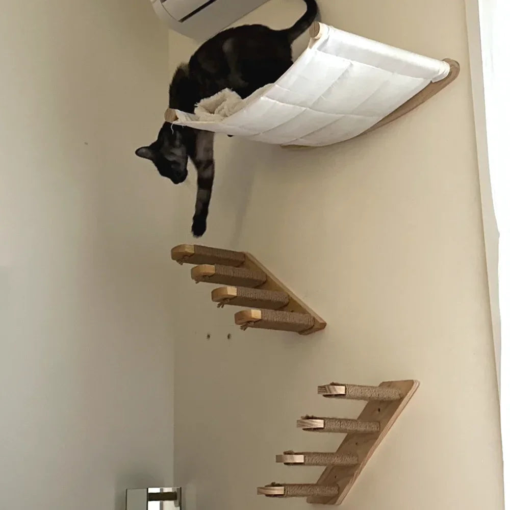 Wooden Wall-Mounted Cat Climbing Shelves & Play Set