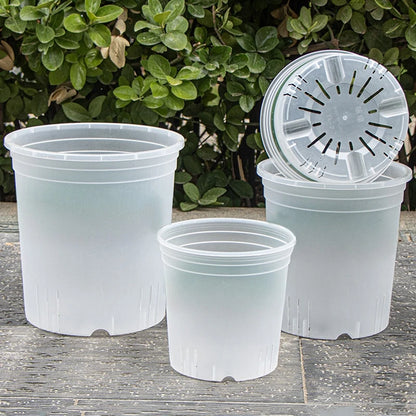 Transparent Nursery Plant Pot