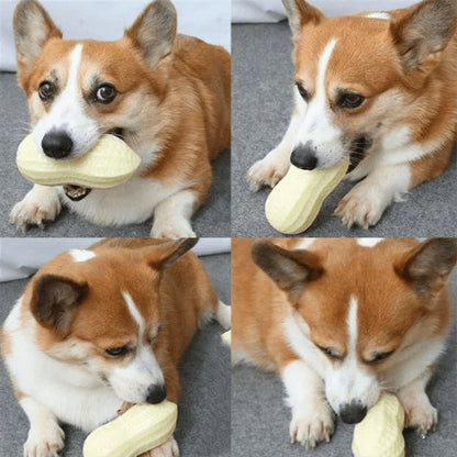 Peanut Squeaky Dog Chew Toy