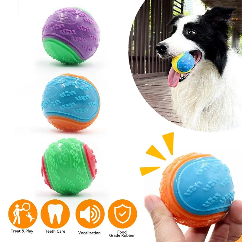 TPR Squeaky Dog Ball Toy