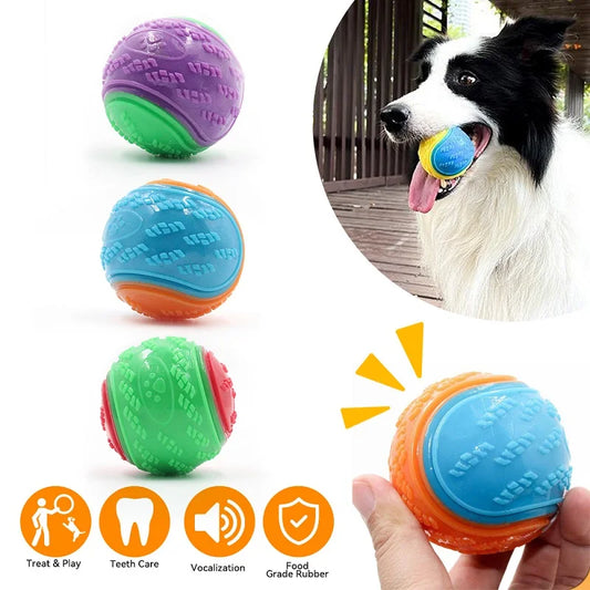 TPR Squeaky Dog Ball Toy