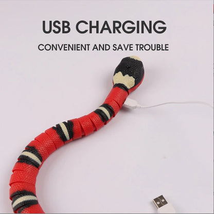 Interactive USB Rechargeable Smart Snake Cat Toy