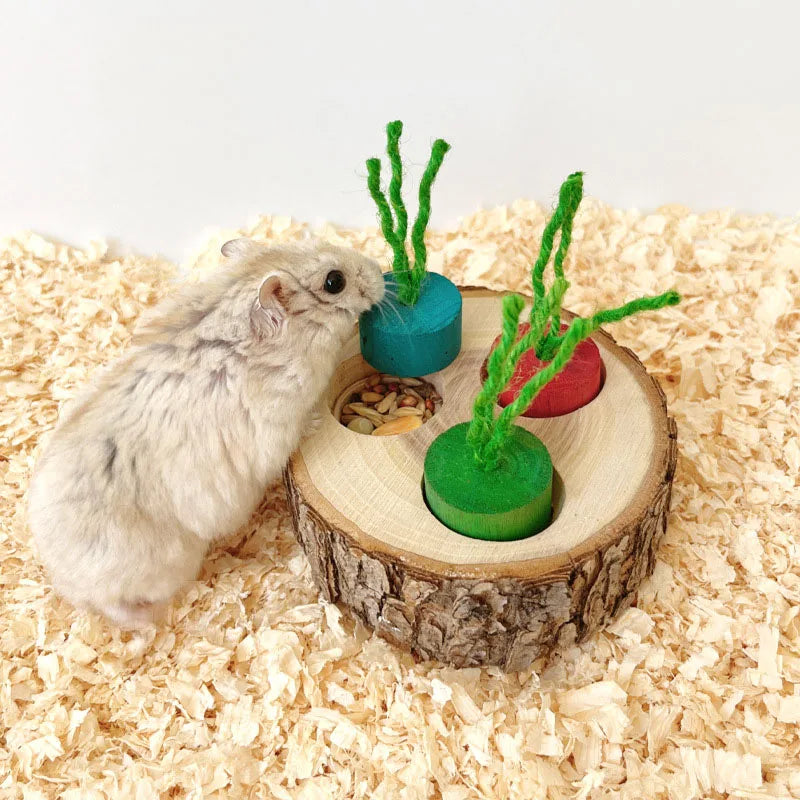 Wooden Hamster Foraging Toy & Chew Snack Box