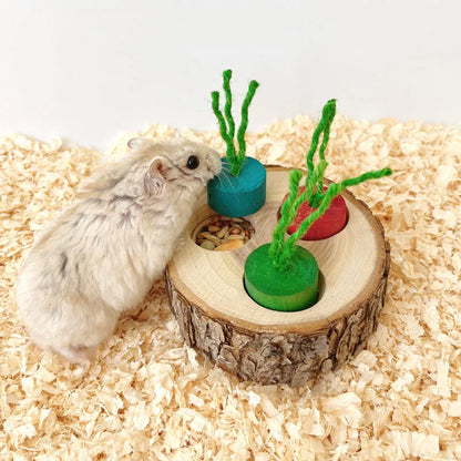 Wooden Hamster Foraging Toy & Chew Snack Box