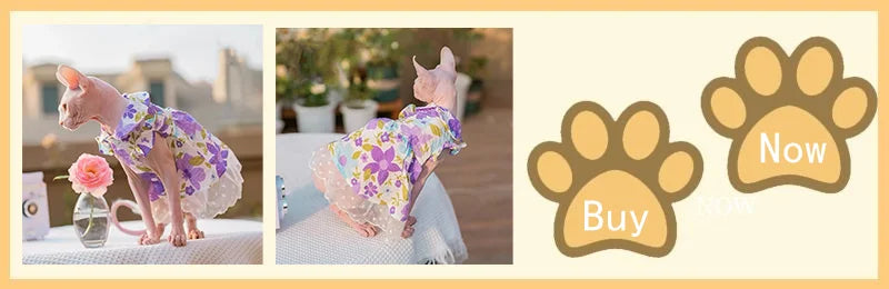 Adjustable Cotton Cat Sun Hat