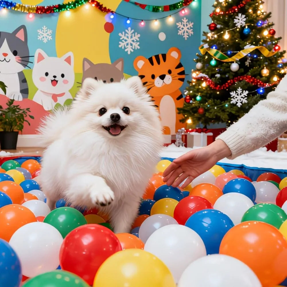 Colorful Dog Ball Toy Set