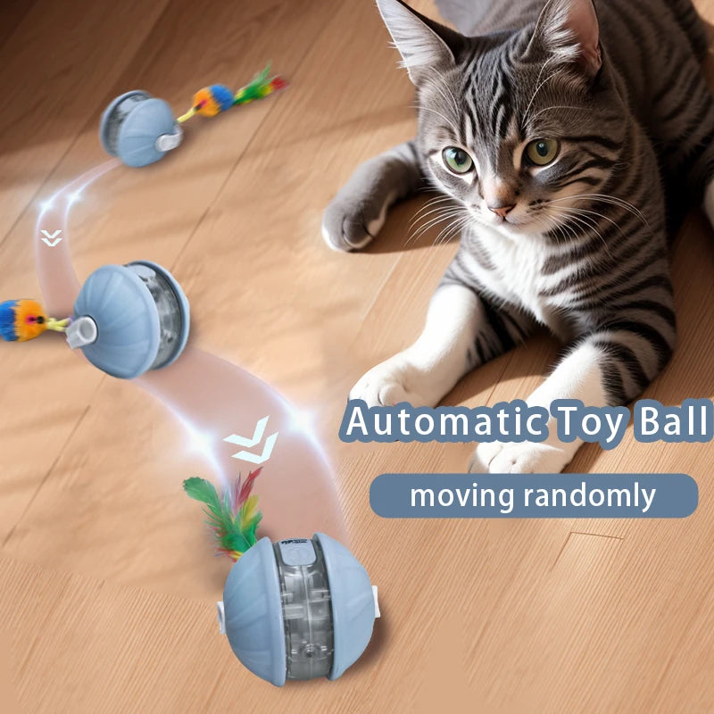 Interactive Rechargeable Rolling Pet Ball Toy