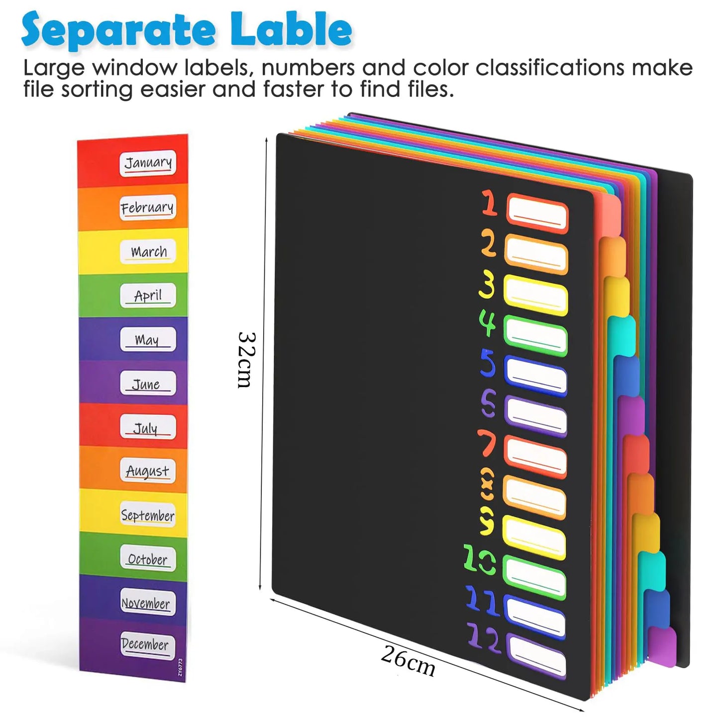 A4 Expanding File Folder with 12 Colour Tabs