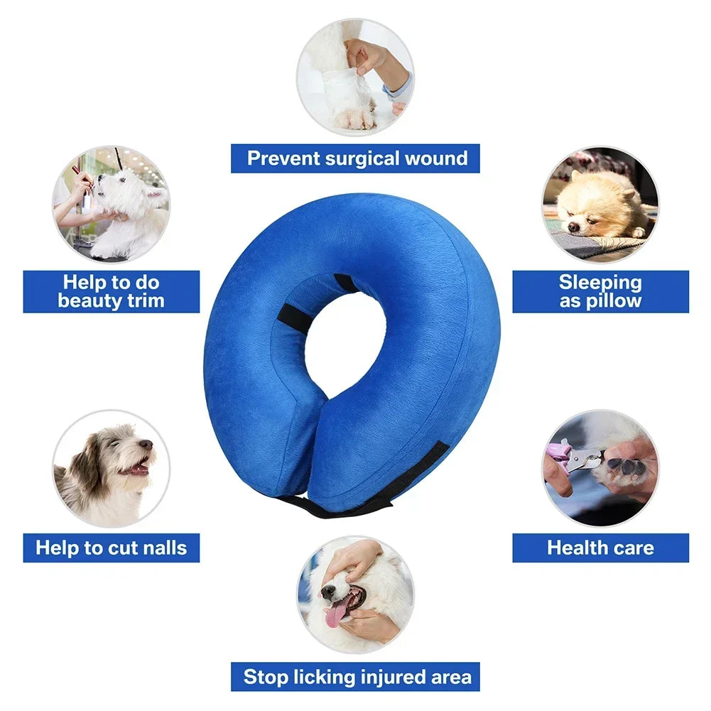 Inflatable Dog Recovery Collar After Surgery