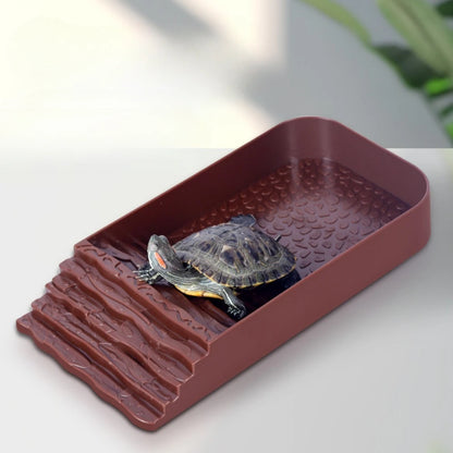 Reptile Bathing Pool with Ramp