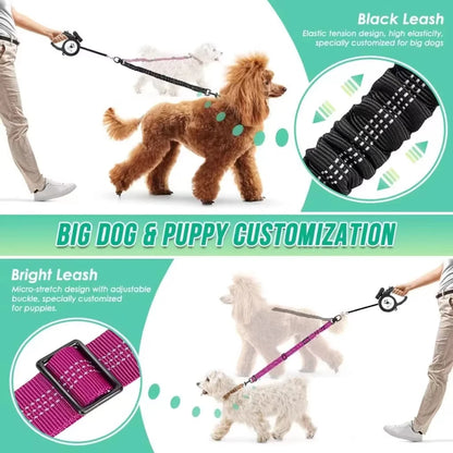 Dual Dog Leash Attachment with Bungee Strap