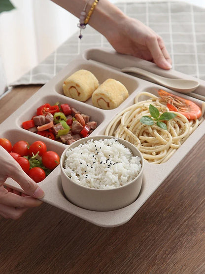 1Set Student Meal Plate