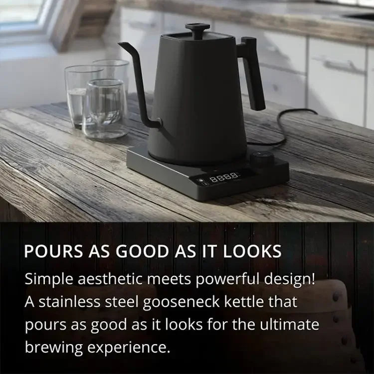 Stainless Steel Variable Temperature Gooseneck Coffee & Tea Kettle