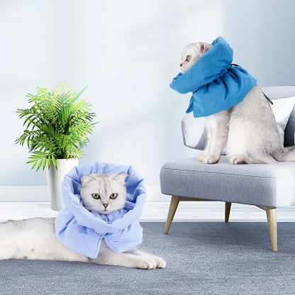 Adjustable Cat Recovery Cone Collar