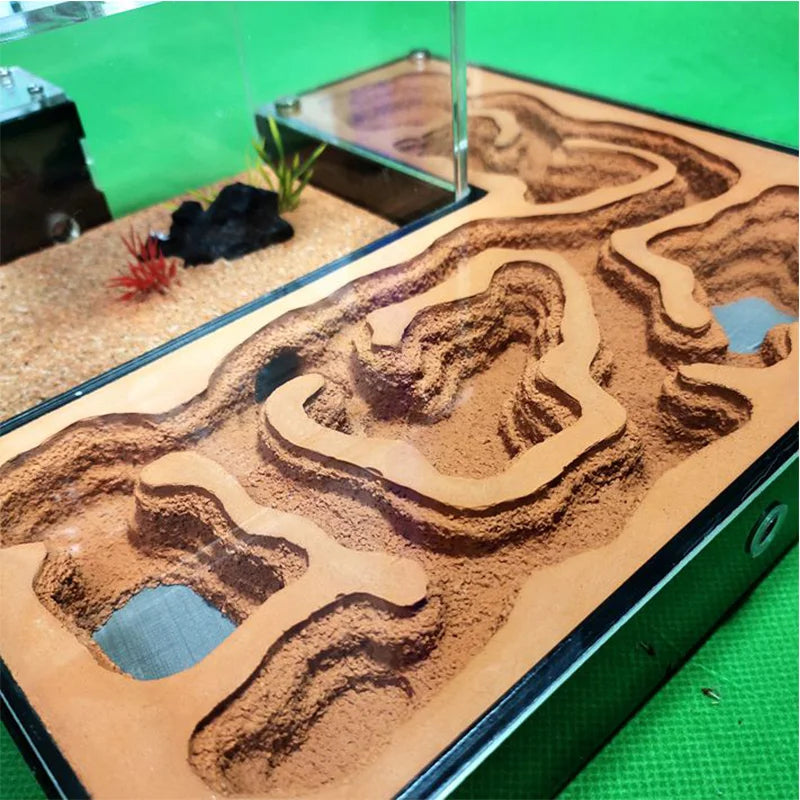 Large Acrylic Ant Farm with Gypsum Nest & Observation Arena