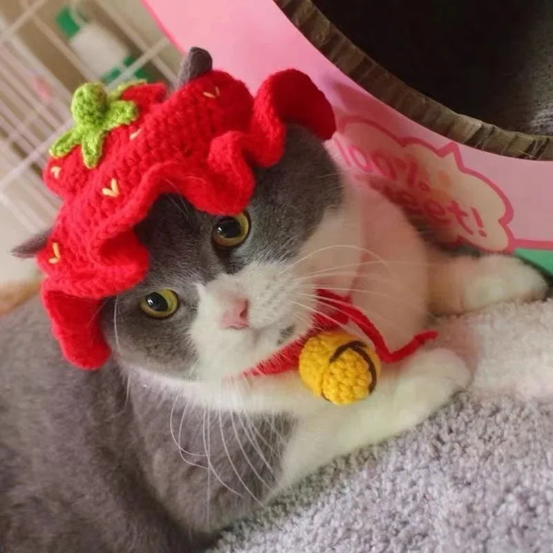 Autumn & Winter Knitted Cat Hat