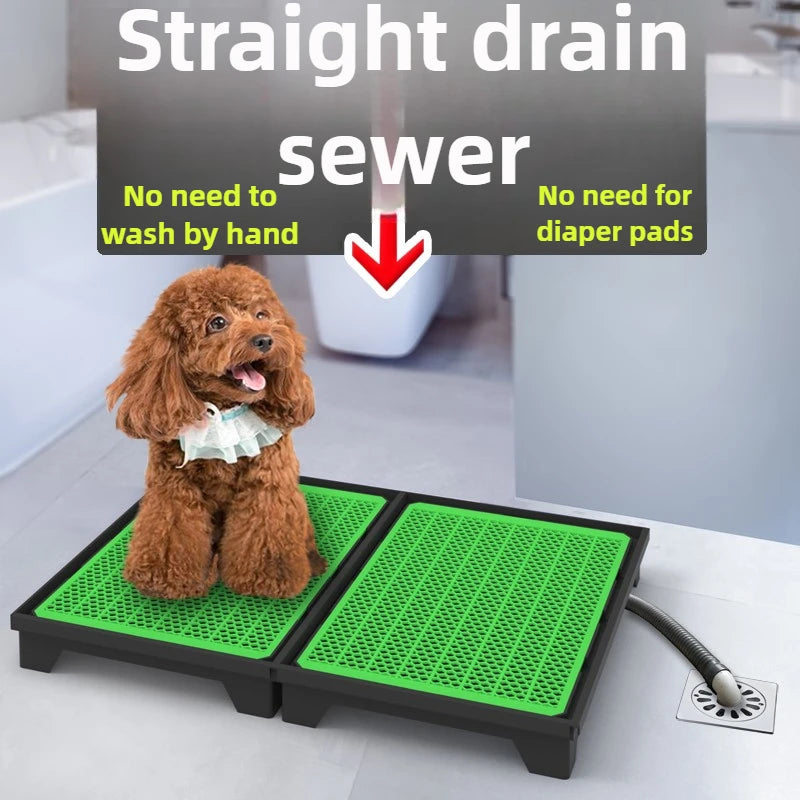 Flush Dog Toilet with Direct Drainage System