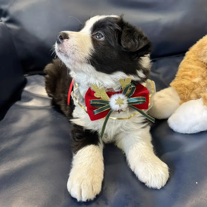 Christmas Adjustable Pet Lace Bandana Collar