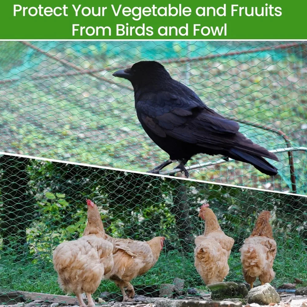 Garden Bird Protection Net