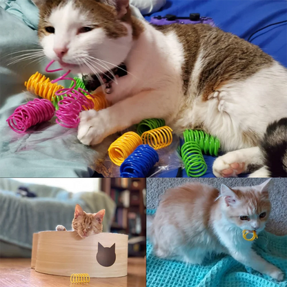 Colorful Cat Spring Spiral Toy Set