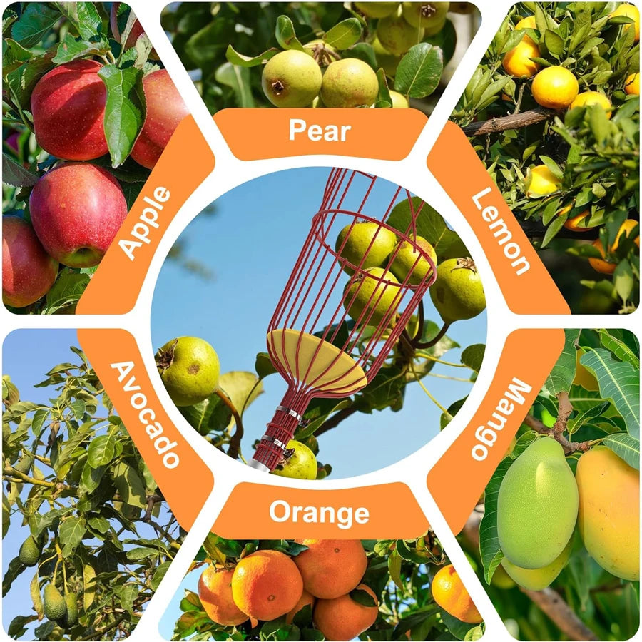 Fruit Picking Tool with Basket Collector