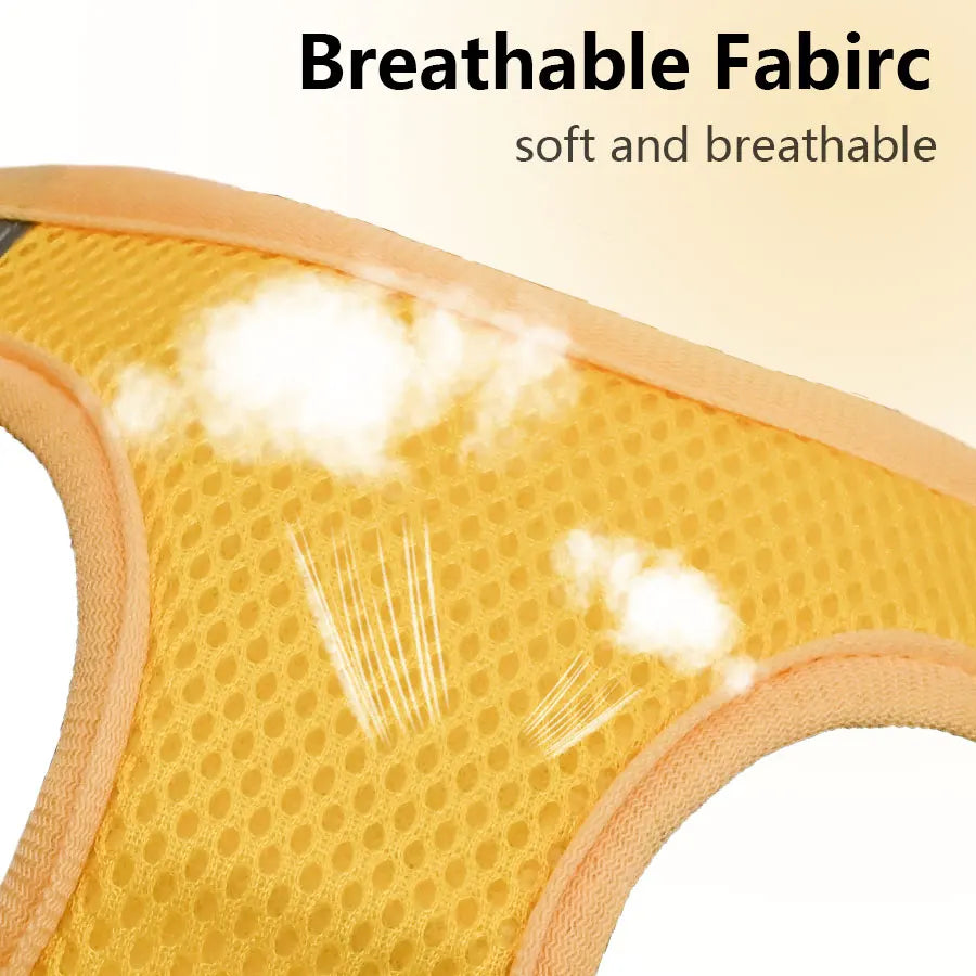 Breathable Mesh Dog Harness & Leash Set