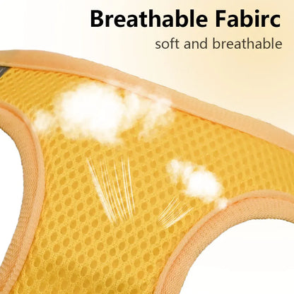 Breathable Mesh Dog Harness & Leash Set