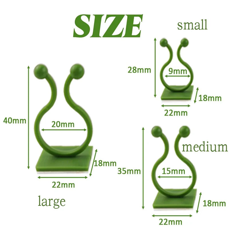 Self-Adhesive Plant Wall Clips for Climbing Vines