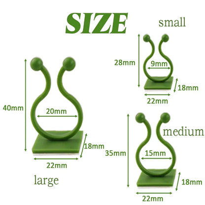 Self-Adhesive Plant Wall Clips for Climbing Vines