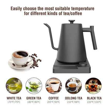Stainless Steel Variable Temperature Gooseneck Coffee & Tea Kettle