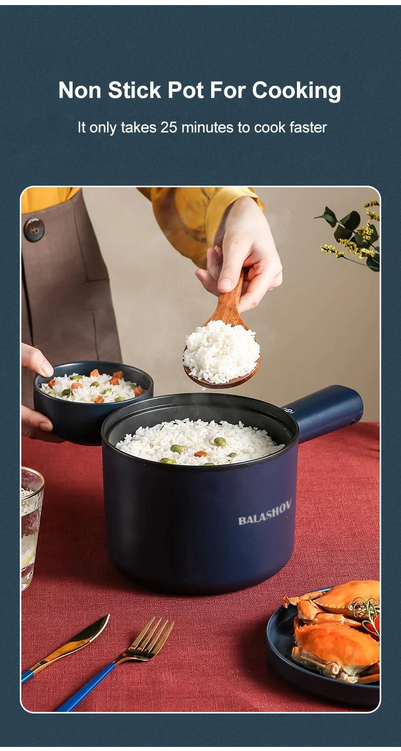 Mini Electric Multi-Cooker