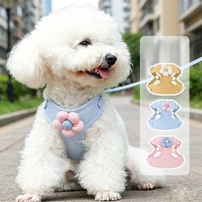 Adjustable Dog Harness with 1.5m Leash Set