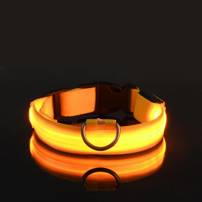 LED Flashing Dog Collar