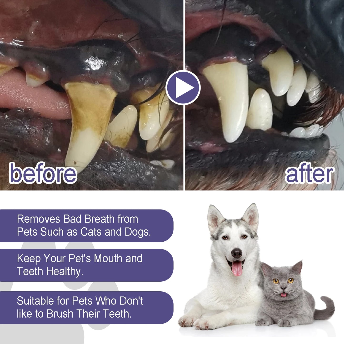 Pet Dental Care Gel Pen for Dogs & Cats