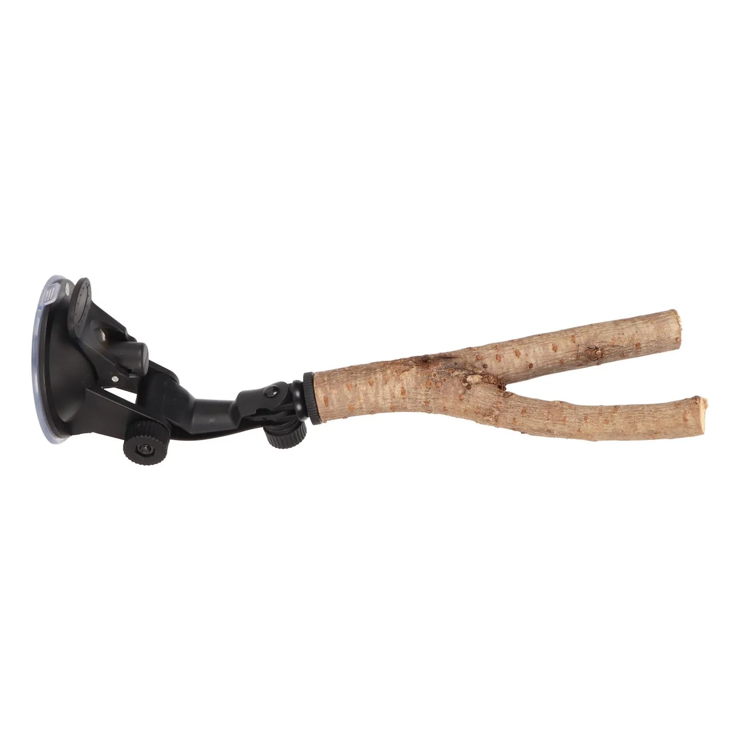 Wooden Bird Branch Perch with Suction Cup