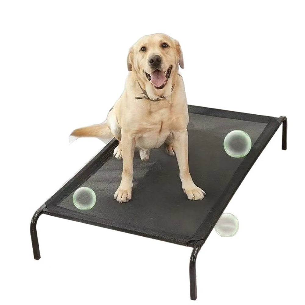 Elevated Cooling Dog Bed