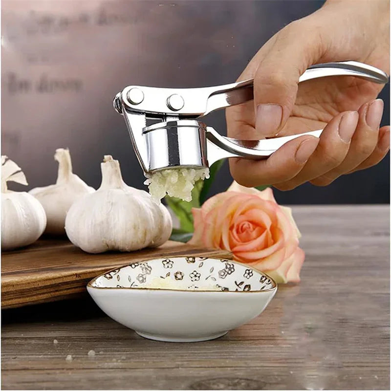 Stainless Steel Garlic Press Tool