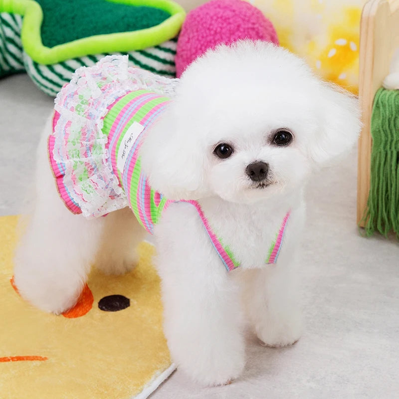 Striped Summer Dog Dress with Lace Skirt